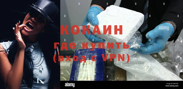 шишки Михайлов